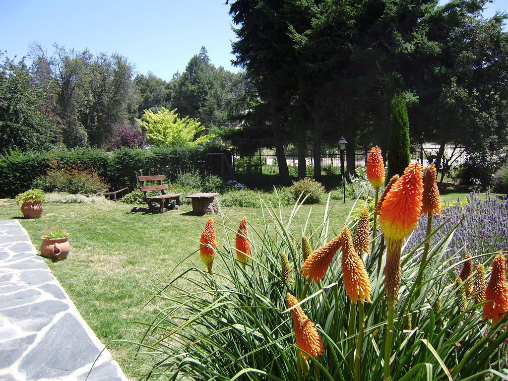 סן קרלוס דה ברילוצ'ה Villa San Ignacio מראה חיצוני תמונה